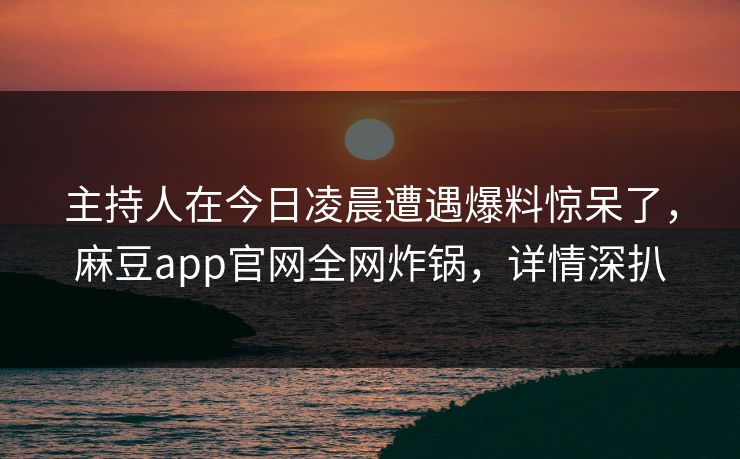 主持人在今日凌晨遭遇爆料惊呆了，麻豆app官网全网炸锅，详情深扒