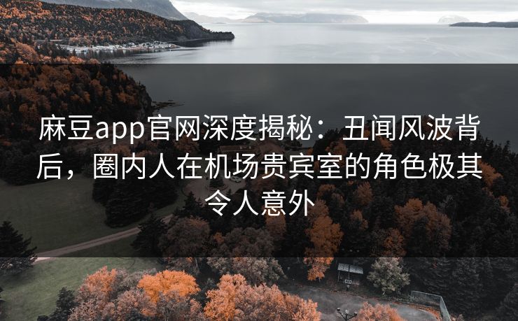 麻豆app官网深度揭秘：丑闻风波背后，圈内人在机场贵宾室的角色极其令人意外